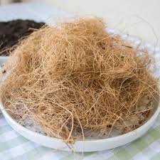 Coconut Husk Fiber Pure Organic Coco Husk Fiber Homemade Coir Husk Fiber  for Orchid, Anthurium Plant - Etsy Hong Kong