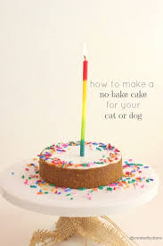 But not just any cake will do for a dog — it has to stay within a dog's dietary needs, of course. 12 Best Dog Cake Recipes Homemade Cake For Your Pup