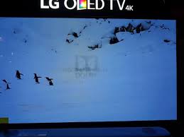 Oled Burn-In: What Is It And How To Avoid It? | Digital Trends