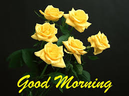 latest good morning images wallpaper photo pics hd download for whatsapp fb 100 à¤— à¤¡ à¤® à¤° à¤¨ à¤— à¤‡à¤® à¤œ à¤œ hindipro latest good morning images wallpaper photo pics hd download for whatsapp fb 100 à¤— à¤¡ à¤® à¤° à¤¨ à¤— à¤‡à¤® à¤œ à¤œ hindipro