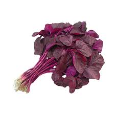 Dalam menanam bayam merah, ada syarat tumbuh yang harus terpenuhi agar produktivitas dapat meningkat. Bayam Merah 250 Gram Sayur Sehat Bogor