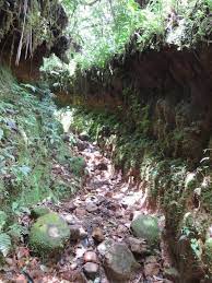 We did not find results for: Lost In Panama Unsolved Deaths Of Kris Kremers And Lisanne Froon Mysteriesrunsolved