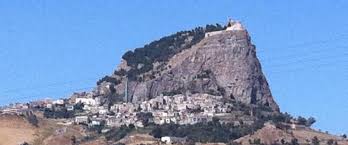 Image result for Sutera debilis