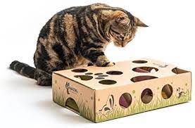 Tony buffington and leticia dantas! Cat Amazing Best Cat Toy Ever Interactive Treat Maze Puzzle Game For Cats Amazon Com Au Pet Supplies