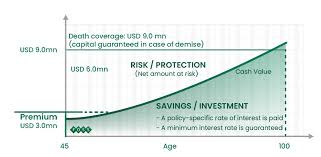 Universal Life Insurance Foss Family Office Advisory