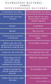 difference between pathogenic and nonpathogenic bacteria