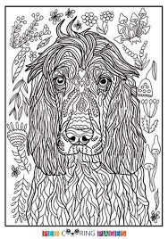 In total we have 34 coloring pages in dogs. Raskraski Raskraski Dlya Vzroslyh Dudl S Photos Malvorlagen Pferde Malvorlagen Tiere Ausmalen