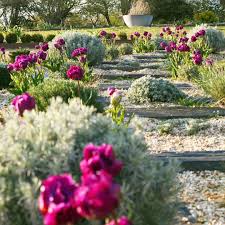 Le Jardin De Marie On Instagram Les Tulipes De L Allee Bonne Journee A Tous Lejardindemarie Jardi Plants Exterior Decor House House Plants