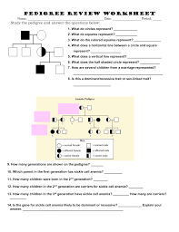 Pedigree Review Worksheet