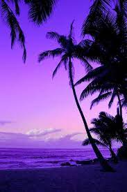 Sunset beach, hawaii, sunset beach, hi, us. A Tropical Violet Sunset Very Cool Photo Blog Purple Sunset Beautiful Sunset Nature