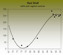 Species Recovery Red Wolf Mm 14