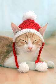 Cat Santa Hat Crochet Pattern Crochet Christmas Dog Hat Christmas Crochet Pattern Funny Crochet Christmas Crochetchristmas Cr Crochet Cat Toys Crochet Christmas Hats Crochet Dog Hat Free Pattern