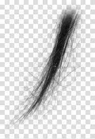 Hair Black Hair Strands Transparent Background Png Clipart Black Hair Long Hair Hair Strand Black Hair Henna