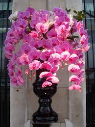 Beautiful Hot Pink Phalaenopsis Orchids In A Black Glass Vase Hotel Flower Arrangements Hotel Flowers Corporate Flowers