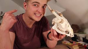 The Muntjac. A deer with fangs and antlers!