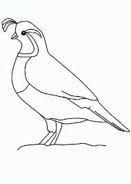 Download this adorable dog printable to delight your child. Quail Outline Coloring Page Bird Drawings Bird Outline Coloring Pages