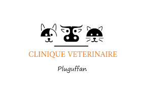 Clinique Vétérinaire de Pluguffan