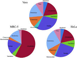 forensic proteomics of poxvirus production analyst rsc