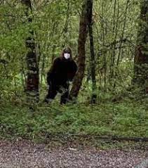 Bigfoot Meme Templates Imgflip