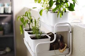 We asked ourselves if gardening can save the world. New From Ikea 11 Essentials For Small Space Gardens Gardenista
