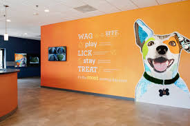 Providing kids with the best possible start to their education is essential for their future success. Dog Daycare Franchise Investment Fee Dogtopia Franchise