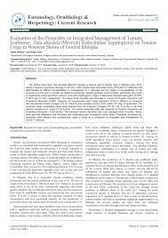 Ethiopia is the only country where tef is grown on a large scale for human consumption. Pdf Evaluation Of Bio Pesticides On Integrated Management Of Tomato Leafminer Tuta Absoluta Meyrick Gelechiidae Lepidoptera On Tomato Crops In Western Shewa Of Central Ethiopia