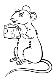 Print, color and enjoy these mouse coloring pages! Coloring Pages Animals Little Cute Mouse Stock Vector Illustration Of Grass Hands 71205052