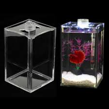 What qualities do bettas look for in tank mates? Jual 2pcs Led Lighting Aquarium Small Fish Tank Betta Tank Acrylic 10x10x16cm Online April 2021 Blibli