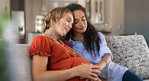 The surrogacy industry in the u.s. Us Surrogacy Laws By State