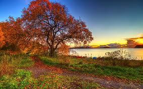 Check spelling or type a new query. Beautiful Autumn Pretty Grass Autumn Leaves Sunset Magic Clouds Boat Hd Wallpaper Peakpx