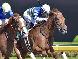 プリンエルで済ませちゃう アジアの純真 炊飯器傷ついちゃいそう ホントにどこの家にもあるもの使ってるの初めてみた うぽつ. ãƒ¦ãƒ‹ã‚³ãƒ¼ãƒ³ã‚¹ãƒ†ãƒ¼ã‚¯ã‚¹ 2019 å›žé¡§ ç«¶é¦¬ã«ã¯ä¾‹å¤–ã‚‚ã‚ã‚‹ ç«¶é¦¬äºˆæƒ³ã®ã‚­ãƒ³ã‚°ã‚¹ãƒãƒ¼ãƒ„