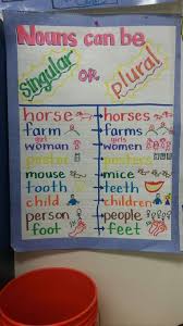 Singular And Plural Nouns Anchor Chart Notice The Stinky