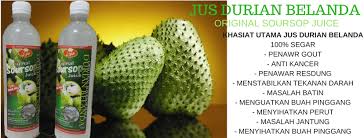 Kebanyakan pokok durian belanda ditanam di halaman rumah sebagai pokok hiasan. Ulwan Jus Durian Belanda Home Facebook