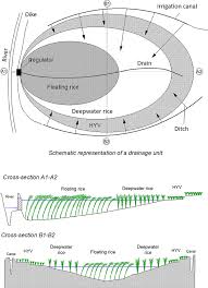 As a result of various crises and conflicts, the relationship between an employer and a driver turns into love. Abstract Cseas Journal Southeast Asian Studies