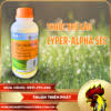 Cyper-Alpha 5EC