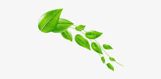 Apakah anda mencari gambar transparan logo, kaligrafi, siluet di daun, musim gugur, mengedit? Daun 4 Header Daun 4 Header Png Free Transparent Png Download Pngkey