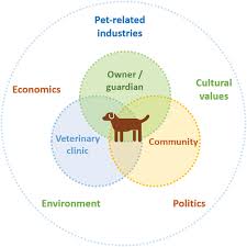 Different boarding facilities have different requirements and conditions for boarding pets. Wsava Animal Welfare Guidelines Ryan 2019 Journal Of Small Animal Practice Wiley Online Library