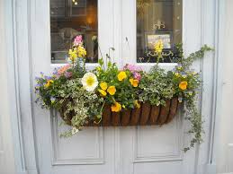 We did not find results for: 37 Gorgeous Window Flower Boxes With Pictures