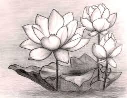 Pin On Draw Flowers