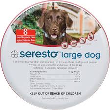 Maybe you would like to learn more about one of these? Seresto Flea And Tick Collar For Small Dogs Ticks On Dogs Flea Tick Dogs