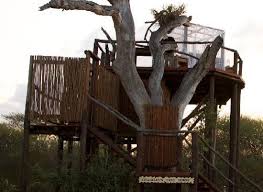 The quintessential african luxury safari experience in the sabi sand reserve and kruger national park. Chalkley Treehouse Bild Von Lion Sands River Lodge Sabi Sand Game Reserve Tripadvisor