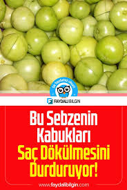 Bu Sebzenin Kabuklari Sac Dokulmesini Durduruyor Faydali Bilgin Sebzeler Dogal Tedaviler Sac