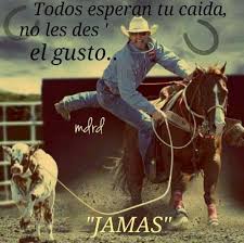 Imagenes Con Frases Vaqueras Frases De Caballos Caballos Y Ninos Vaqueros Oeste