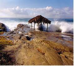 Windansea Beach One Of My Favorite Places Stay Classy San Diego San Diego Beach San Diego