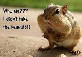 Once you've had a smile at the goofy animals in this image gallery, give yourself a mental break with these 20 funny animals who think they're people. Wild Animals Funny Crap