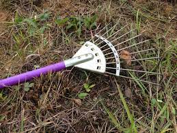 Check spelling or type a new query. Learn How To Use A Dethatching Rake To Make Your Lawn Look Swish Gardenerdy