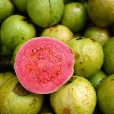Image result for Psidium guajava