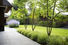 Epingle Par Jabi Sur Jardin En 2020 Jardin Contemporain Amenagement De Jardin Terrasses Jardins
