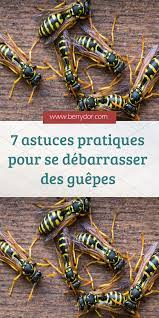 epingle sur animaux et insectes