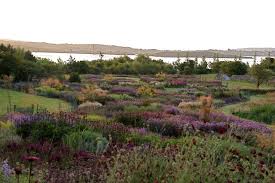 West Cork Ireland Piet Oudolf Dutch Gardens Garden Landscape Design Outdoor Gardens